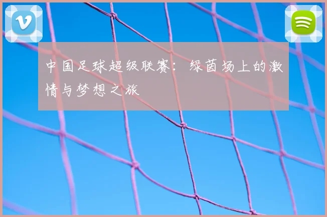 中国足球超级联赛:绿茵场上的激情与梦想之旅