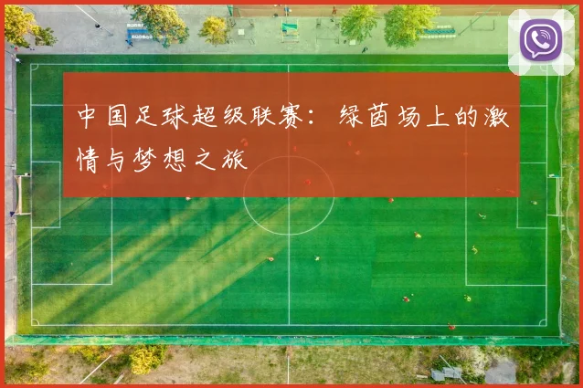 中国足球超级联赛：绿茵场上的激情与梦想之旅